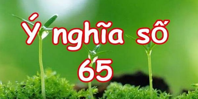 Số 65 mang ý nghĩa như một biểu tượng của cuộc sống an lành và trọn vẹn